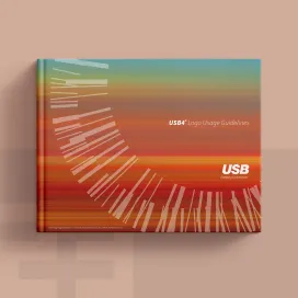 Usb4